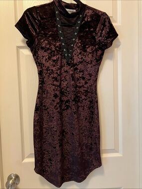 Velvet Lace-Up Mini Dress in Deep Plum